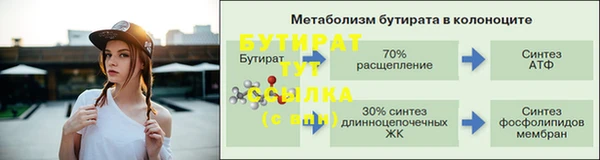 mdpv Бородино